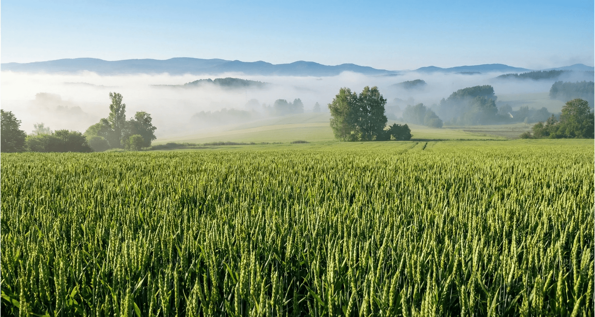 TerraGreen Team – Natur und Technologie im Einklang